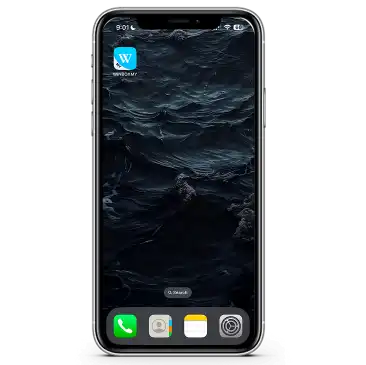 Winbox iOS app icon successfully installed